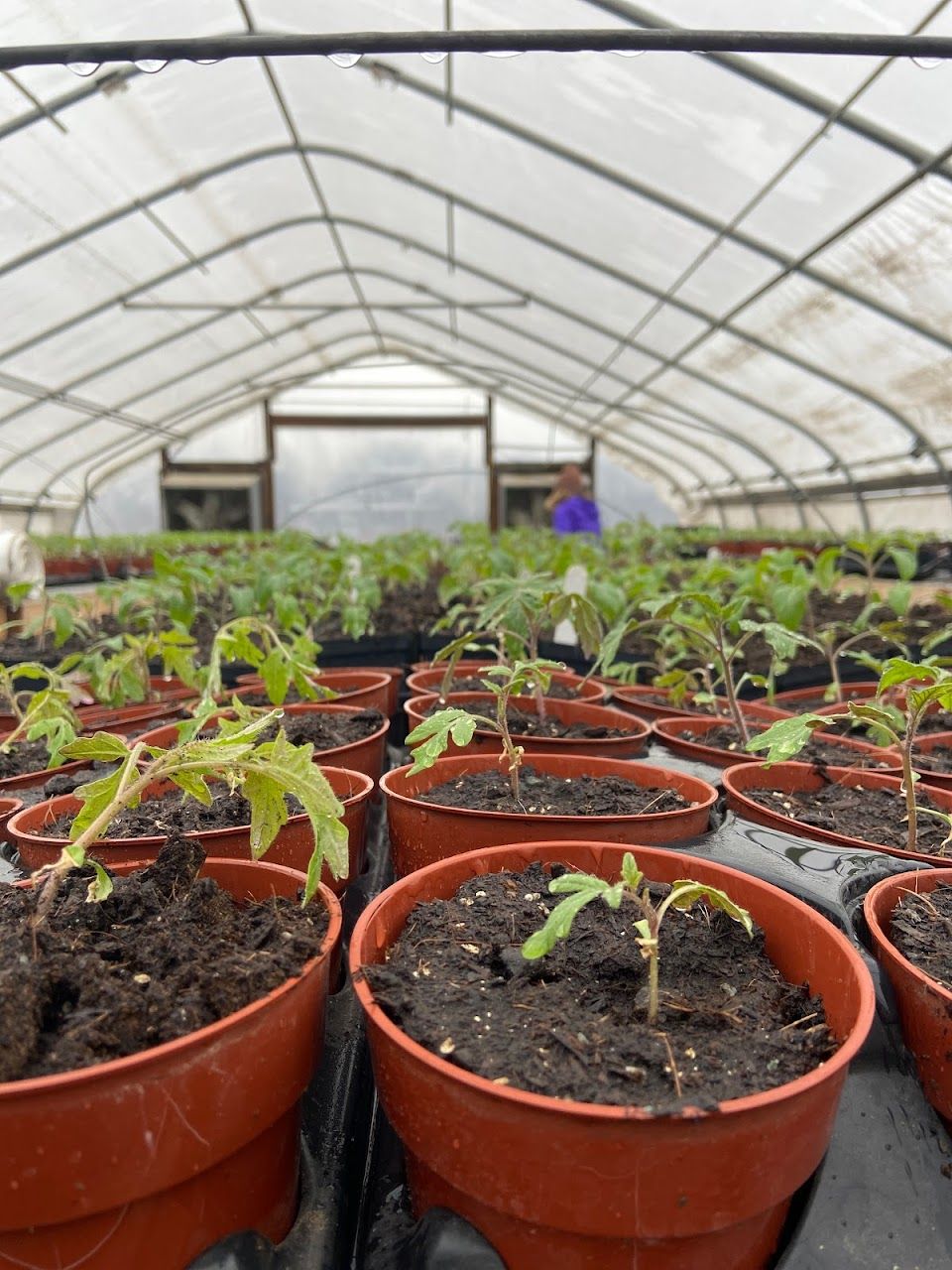 Photo of Cobblestone Farm Community Apartments