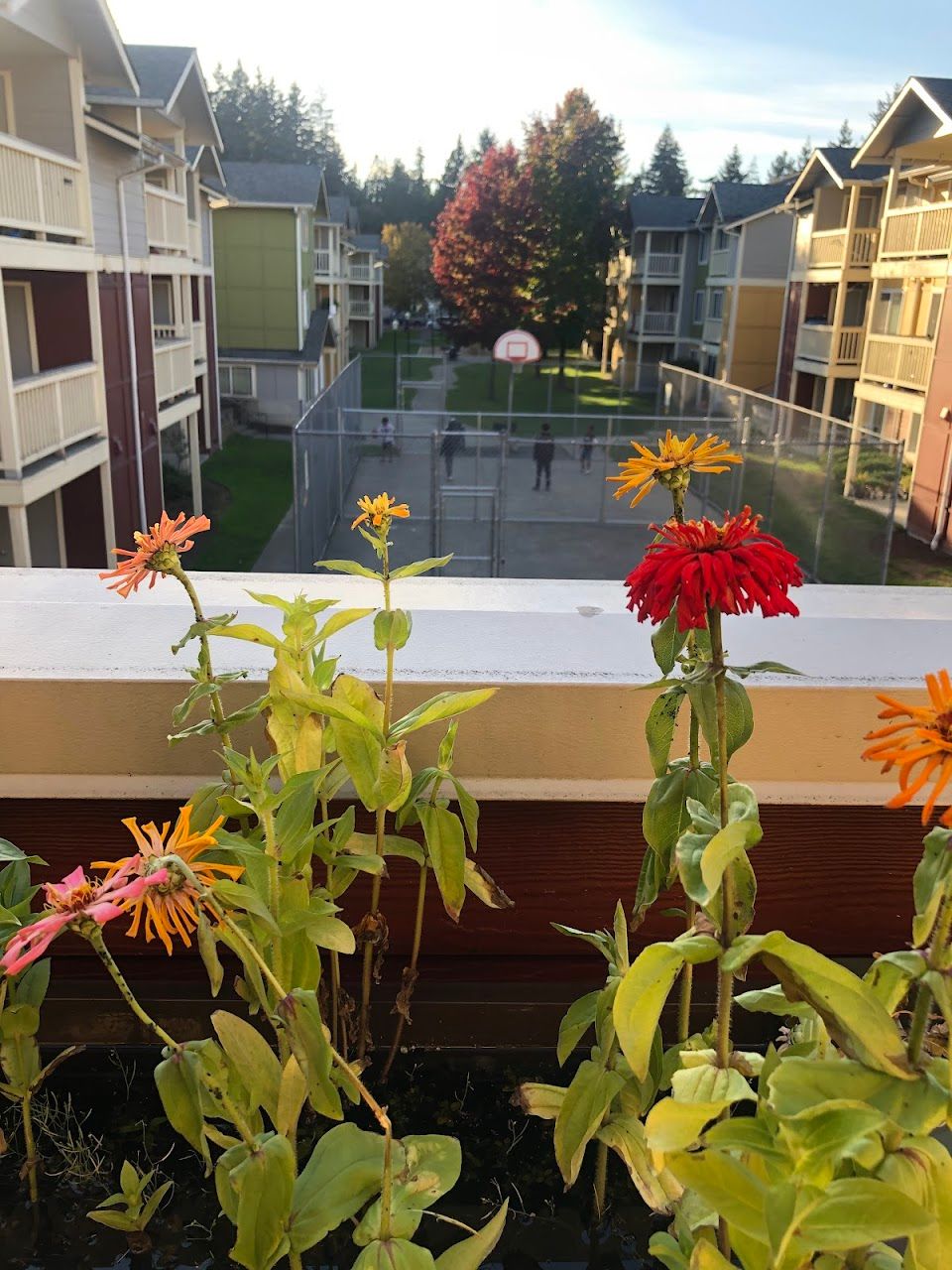 Photo of Family Tree Apartments