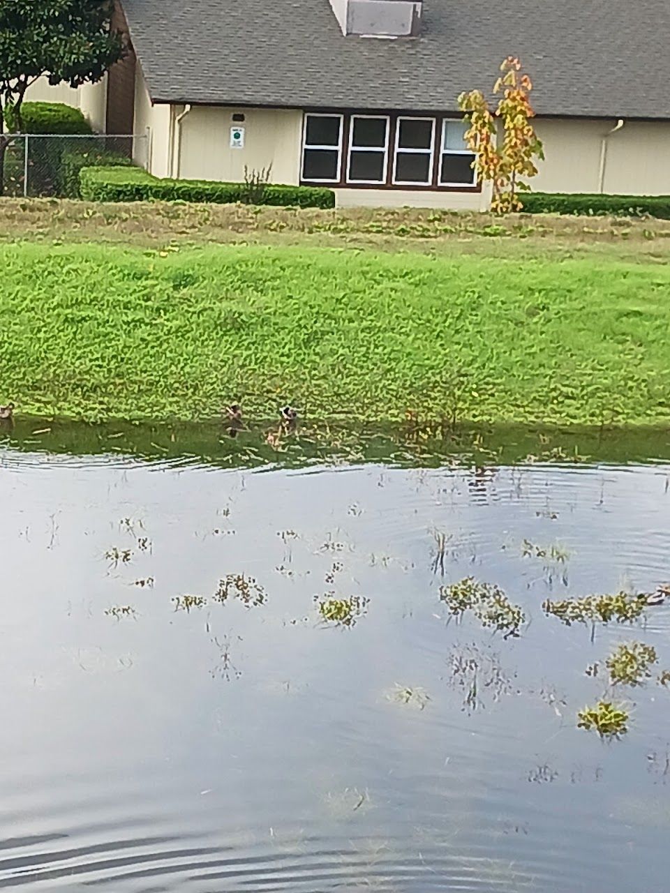 Photo of Evergreen Vista I & II Apartments