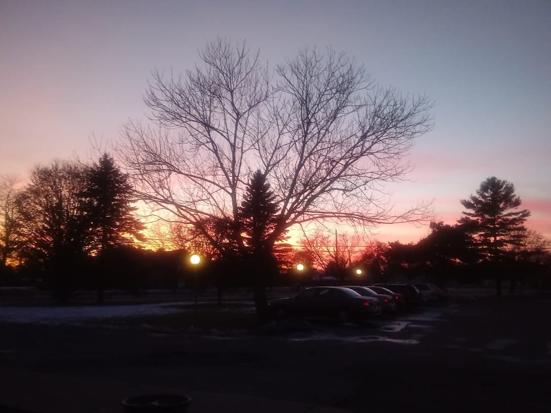 Photo of Mueller Manor