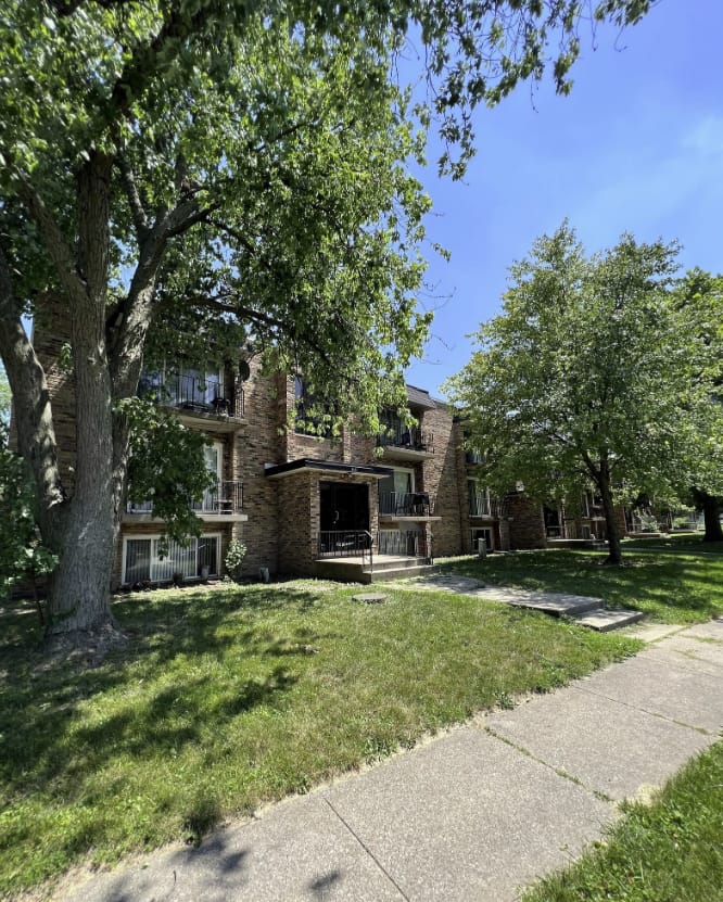 Photo of Matteson Blu