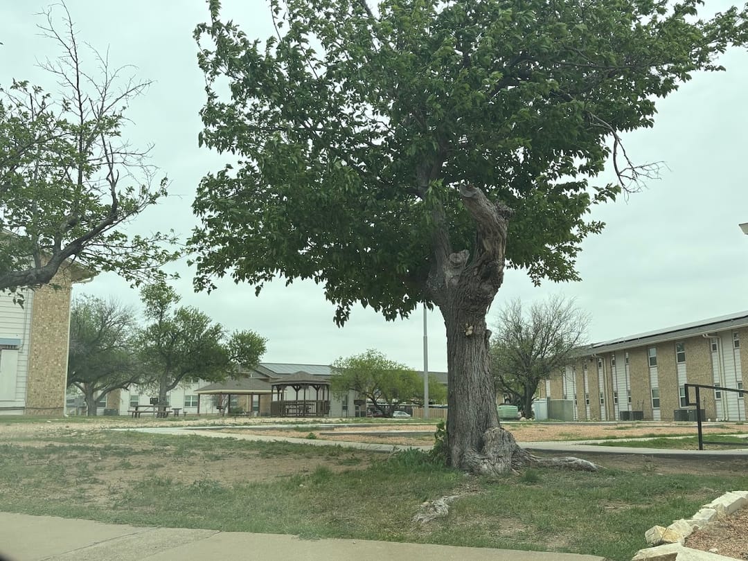 Photo of River Pointe Apartments