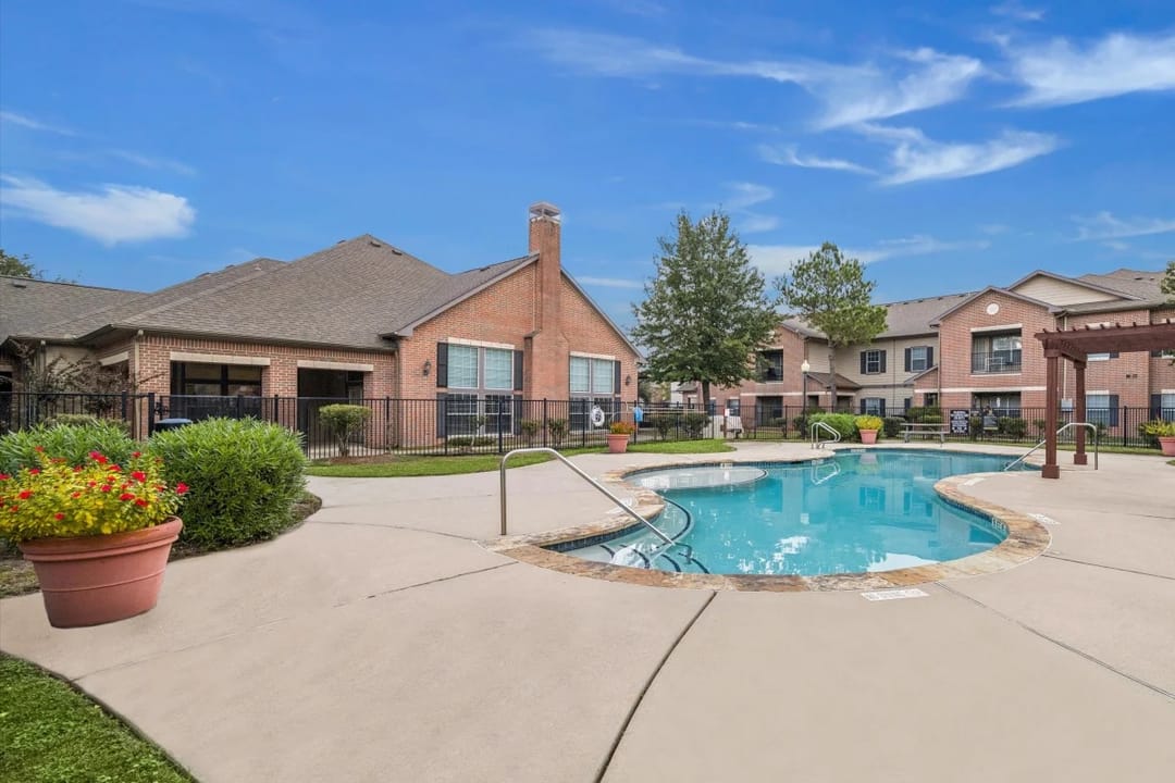 Photo of Autumn Pines