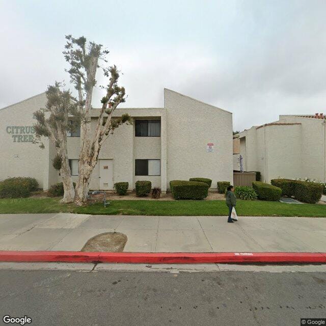 Photo of CITRUS TREE APTS