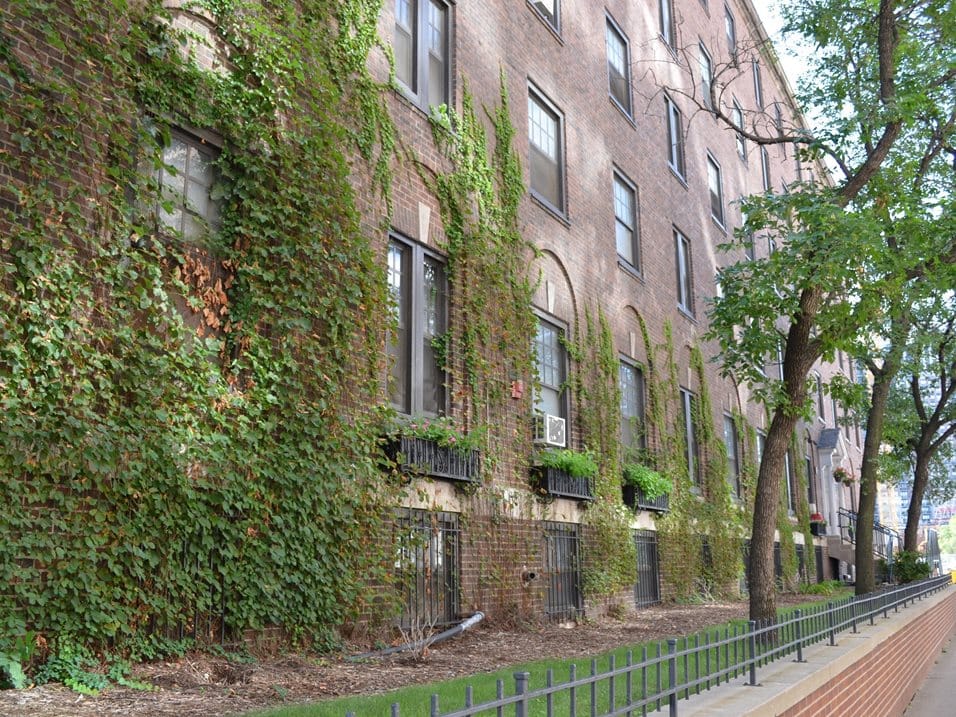 Photo of Paige Hall Apartments