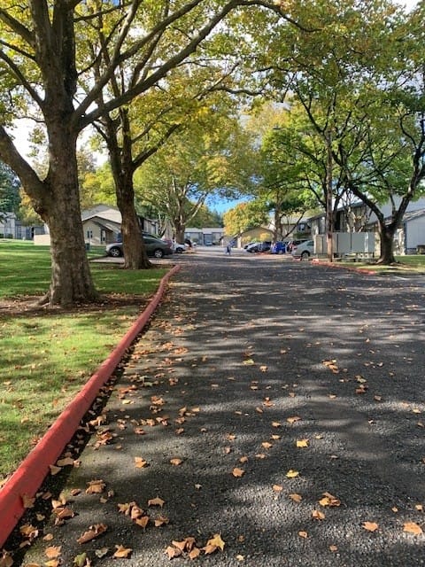 Photo of Ridgecrest Timbers Apartments