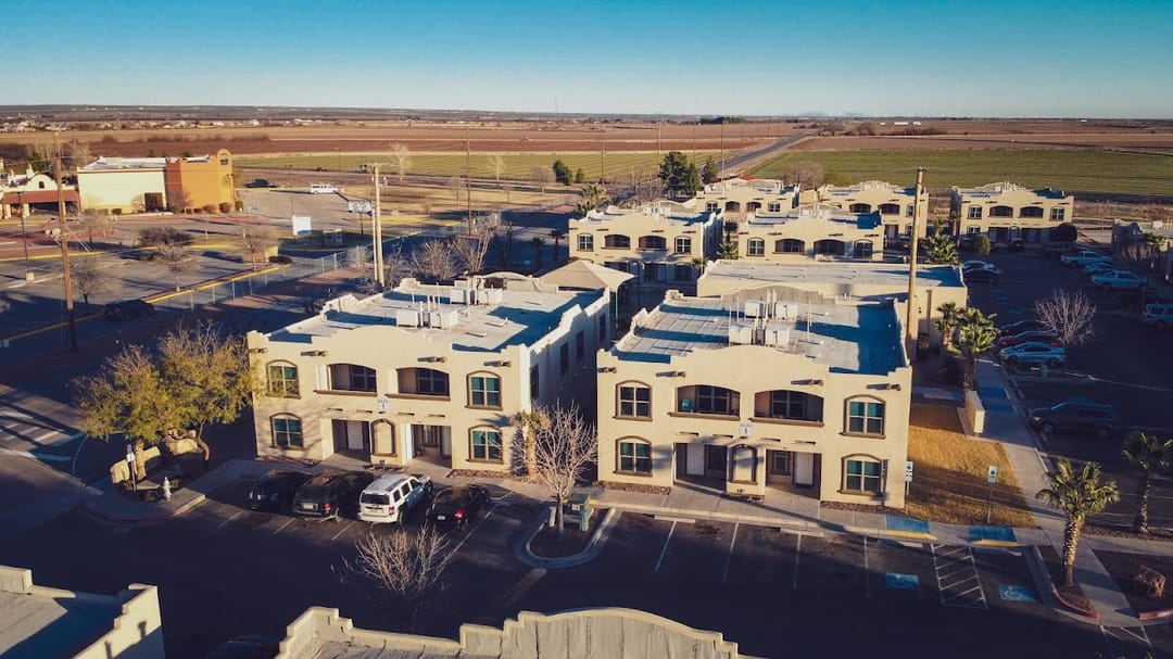 Photo of San Elizario Palms