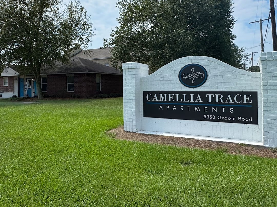 Photo of Camellia Trace