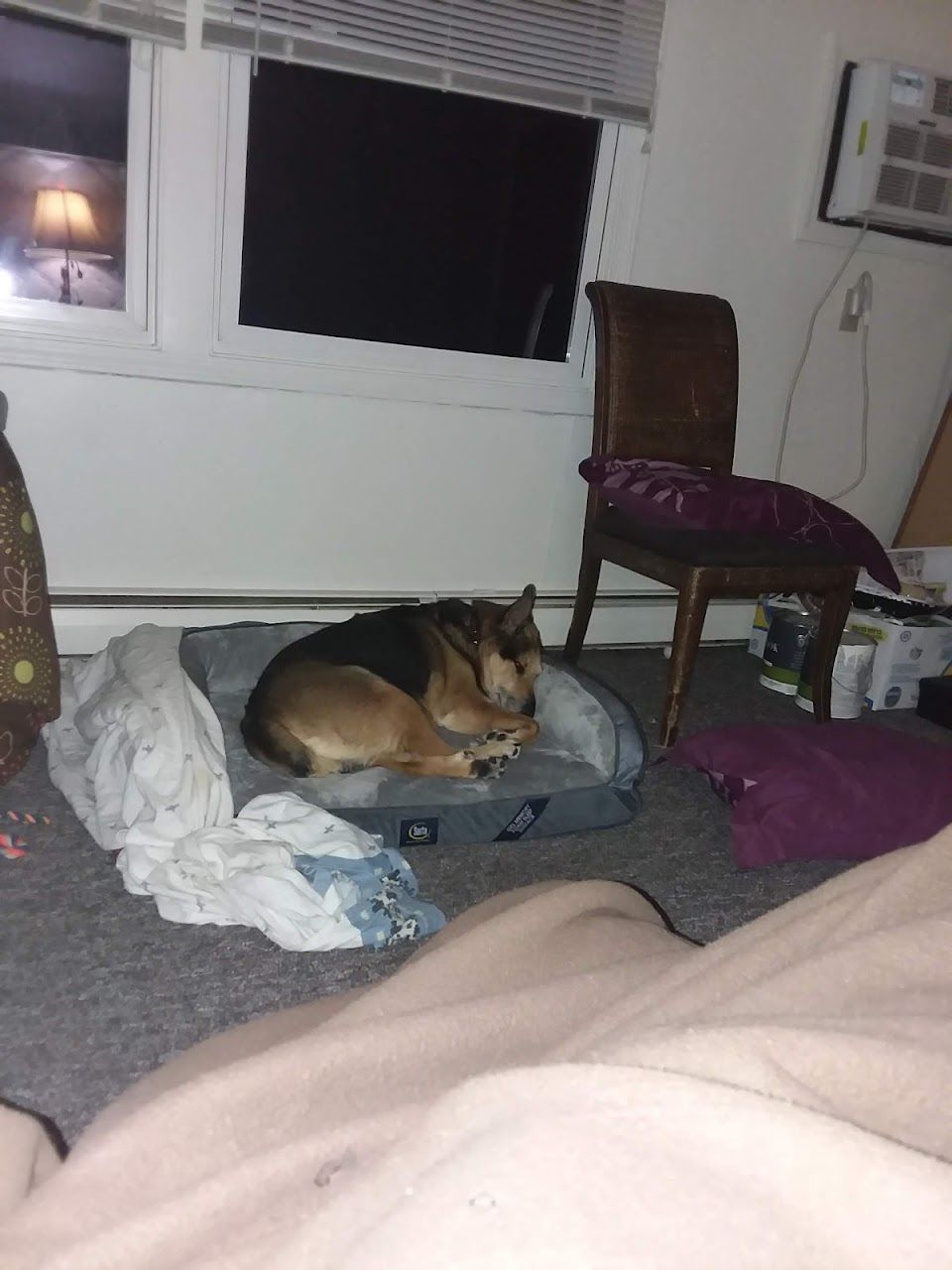 Photo of Fieldcrest Apartments