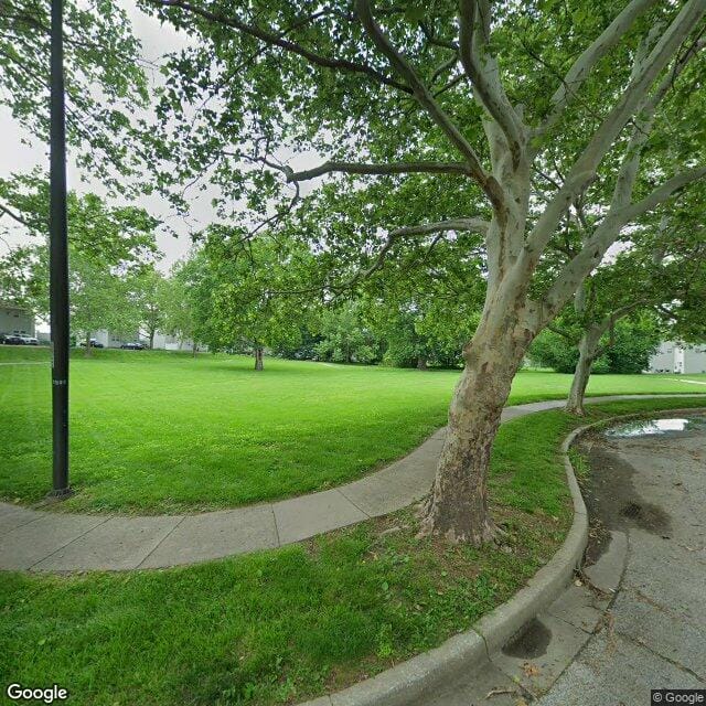 Photo of Sycamore Groves