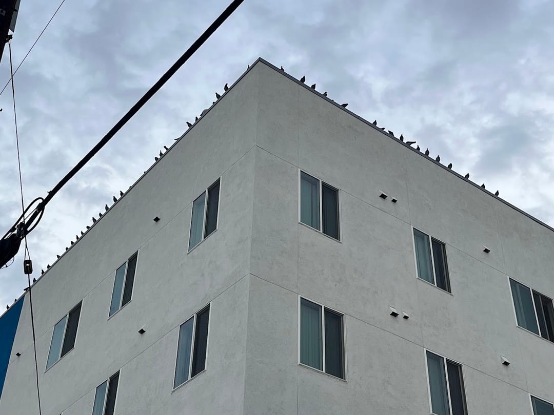 Photo of Acacia Heights II & III