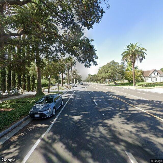 Photo of ORANGE GROVE GARDENS
