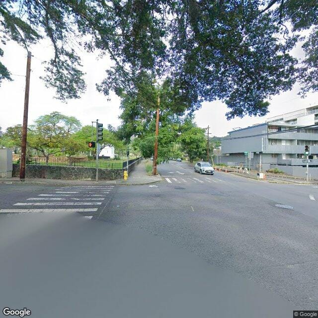 Photo of Makiki Banyan