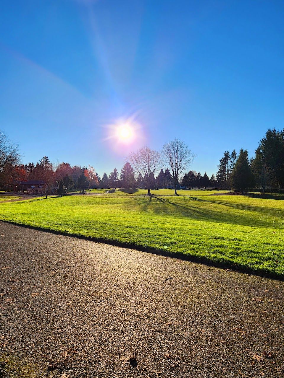 Photo of Felida Park