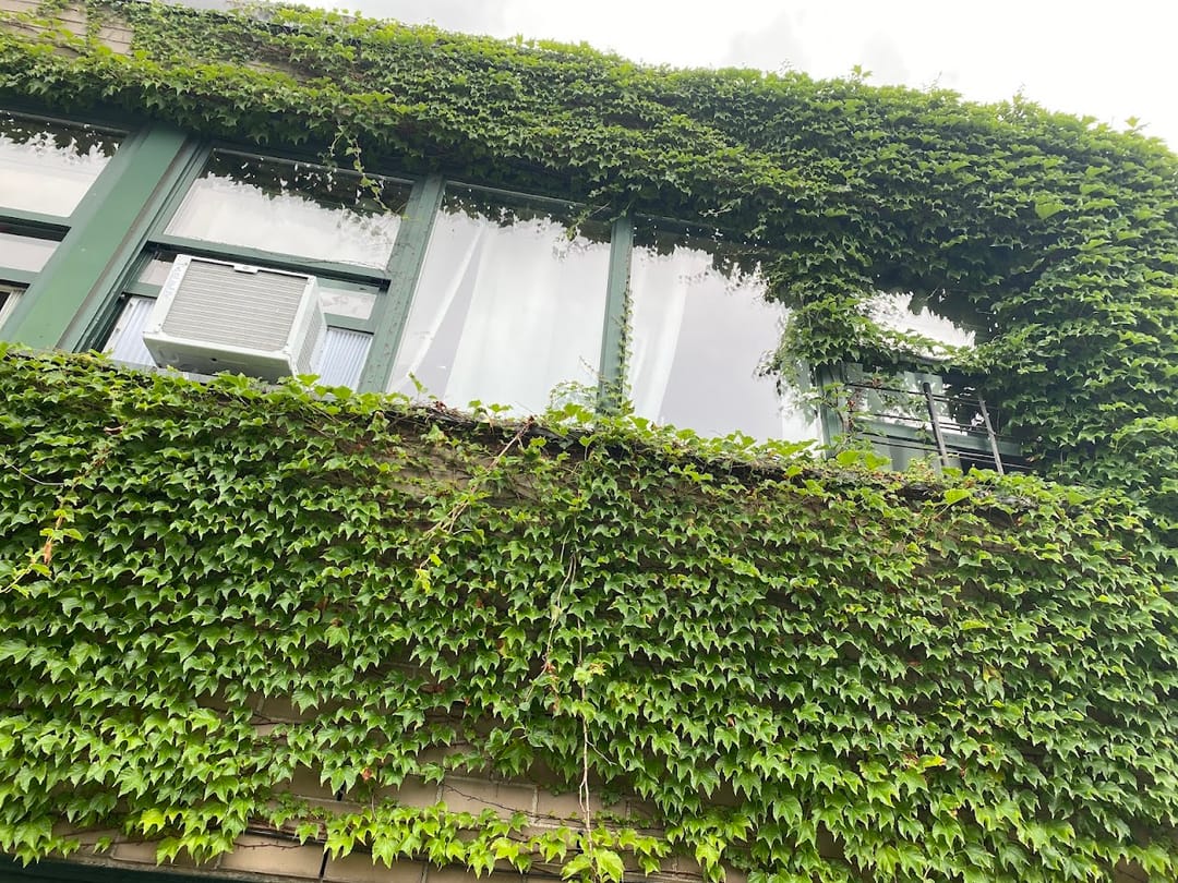 Photo of 380 Chester St