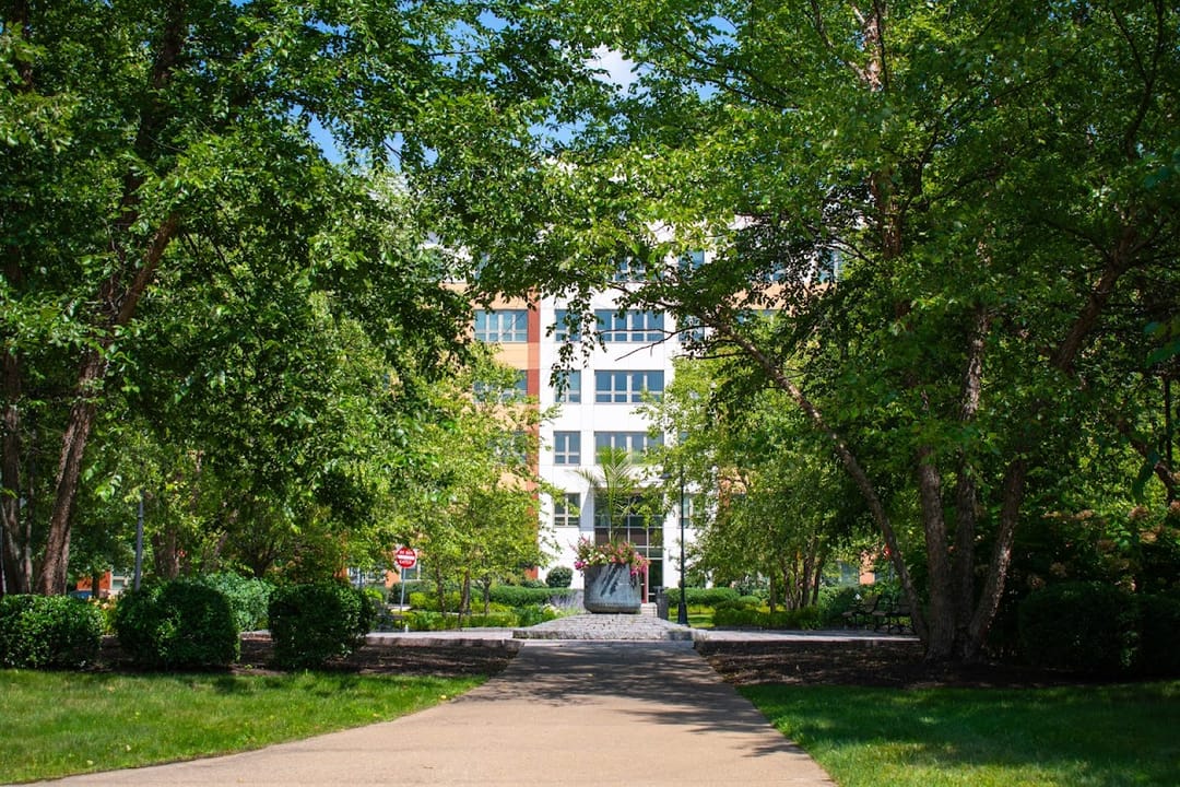 Photo of Mattapan Heights