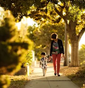 Photo of Aloha Project