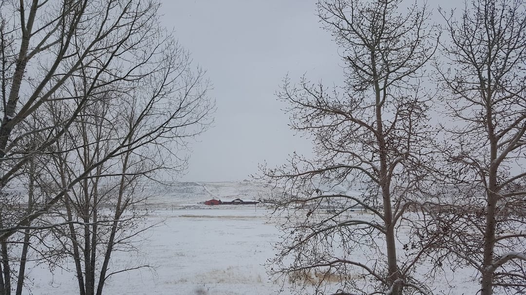 Photo of Columbine Apartments