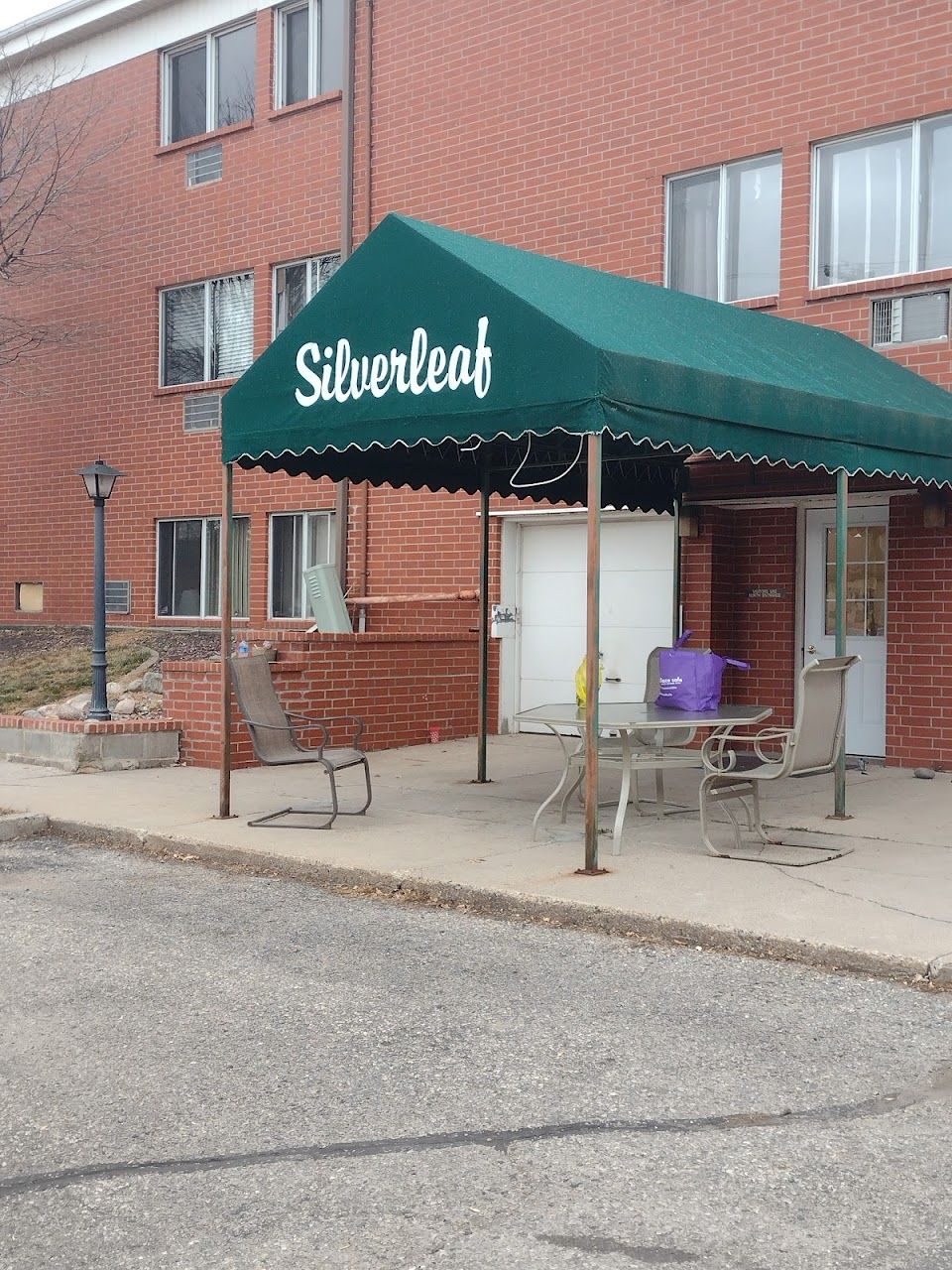 Photo of Silverleaf