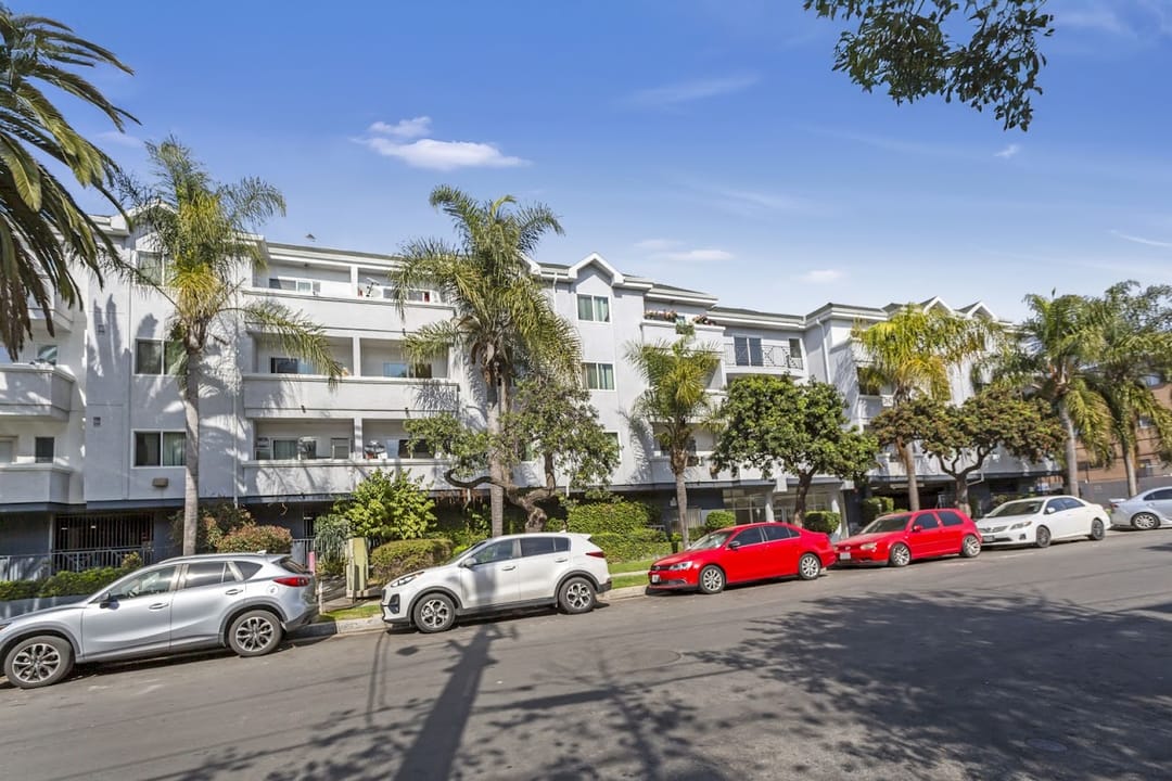 Photo of Harbor City Lights