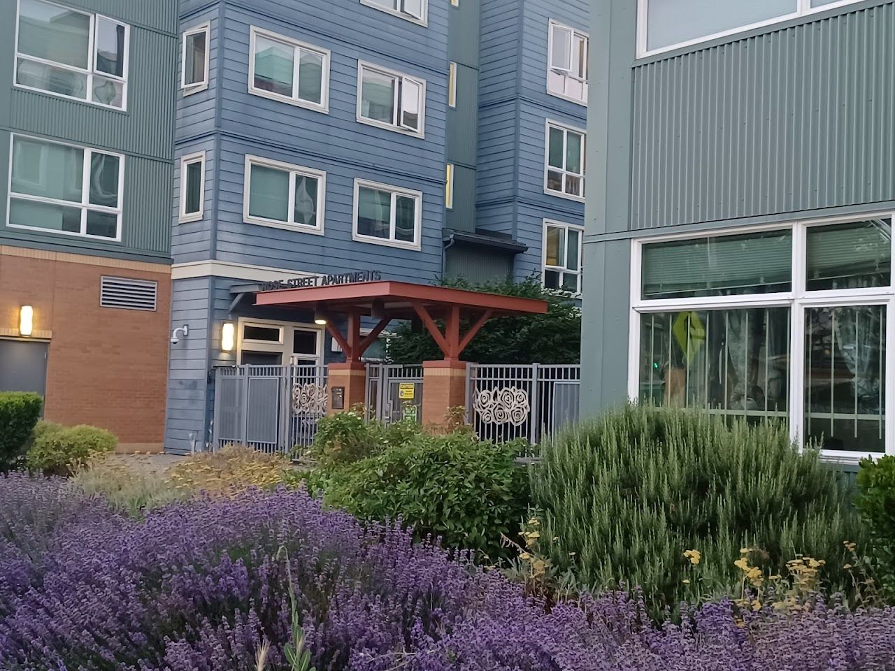 rose street apts