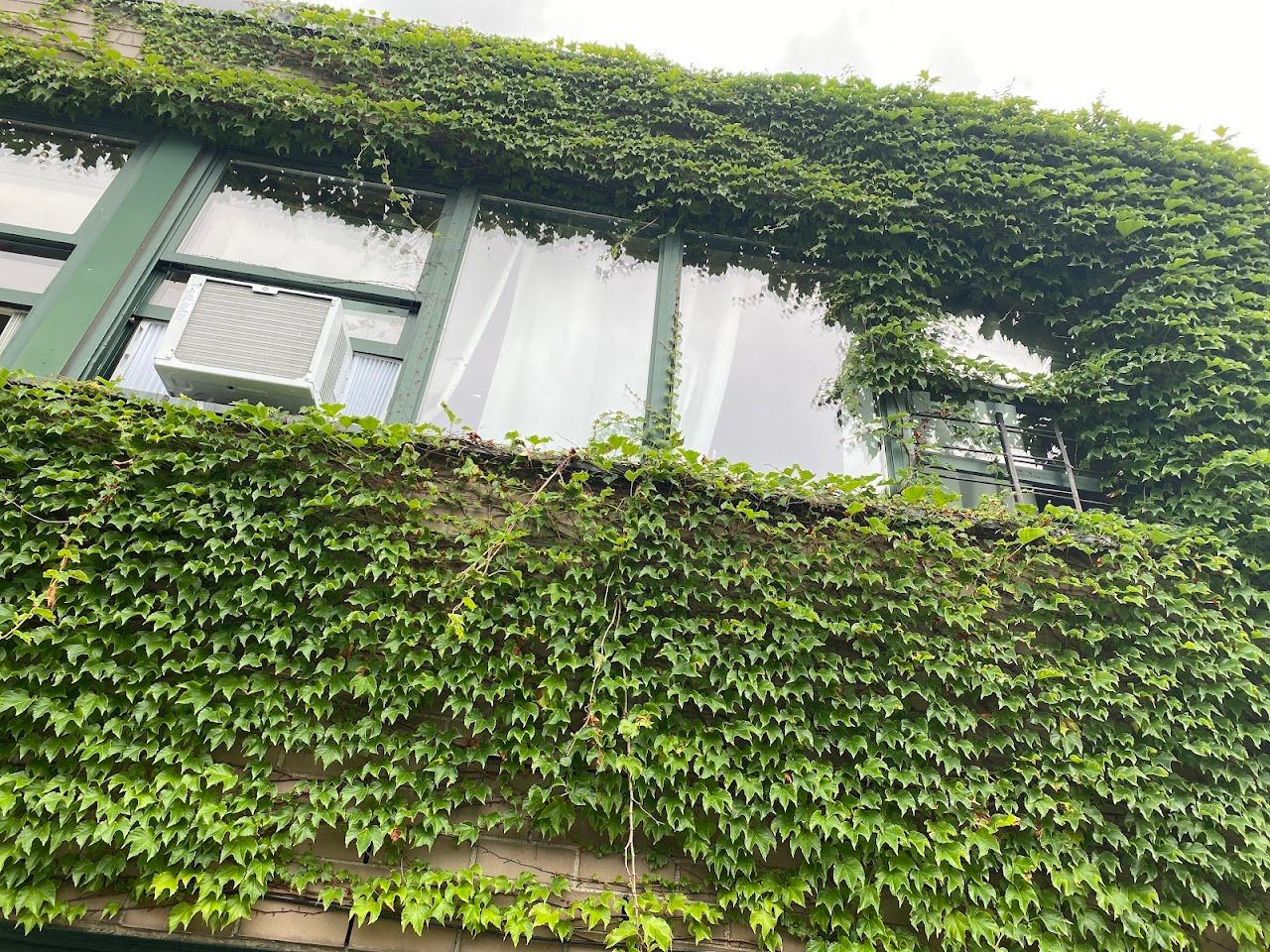 Photo of 210-214 HEGEMAN AVENUE at 212 HEGEMAN AVENUE BROOKLYN, NY 11212