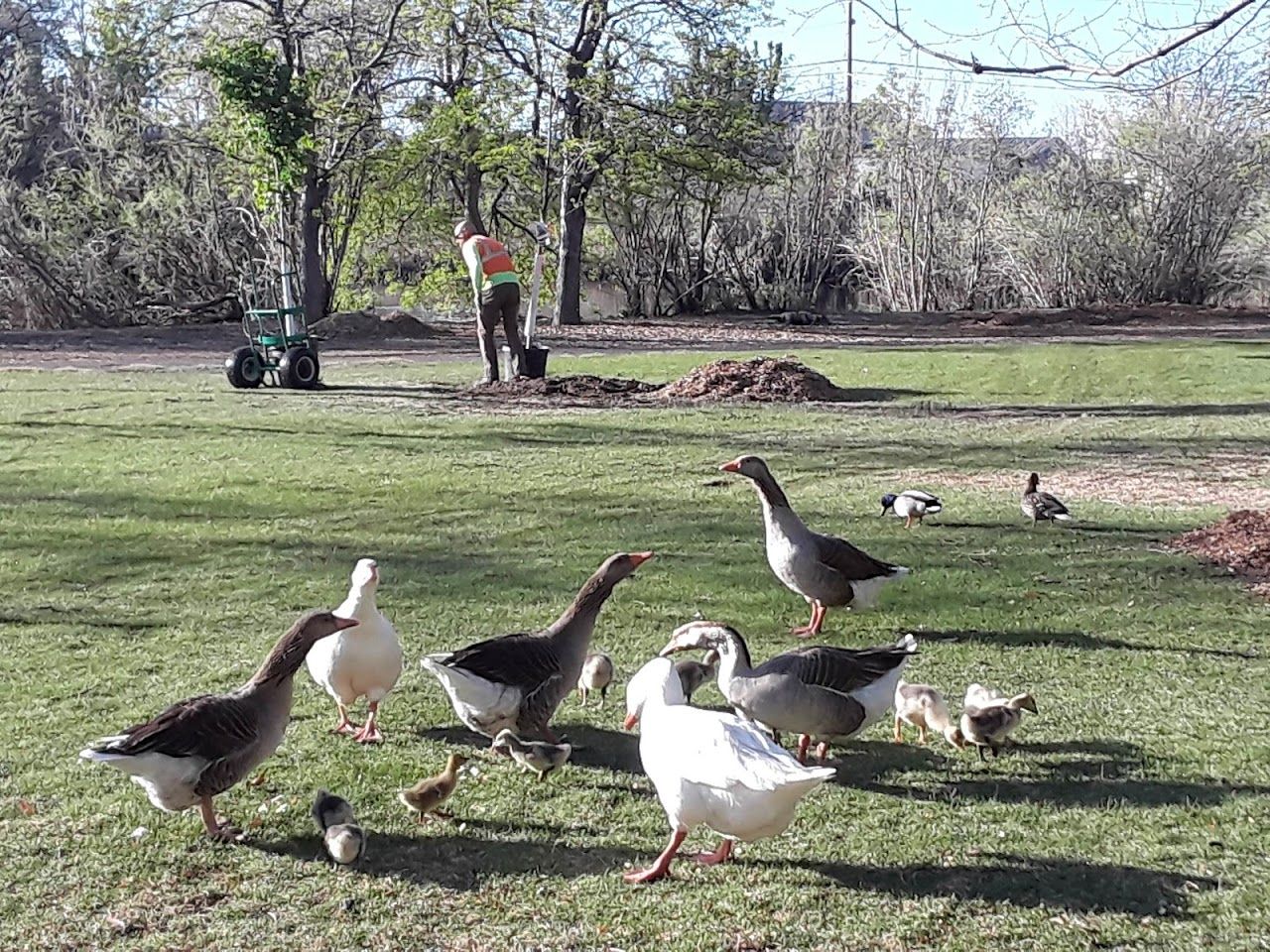 Photo of Sierra Manor II at 2360 Paradise Dr Reno, NV 89512