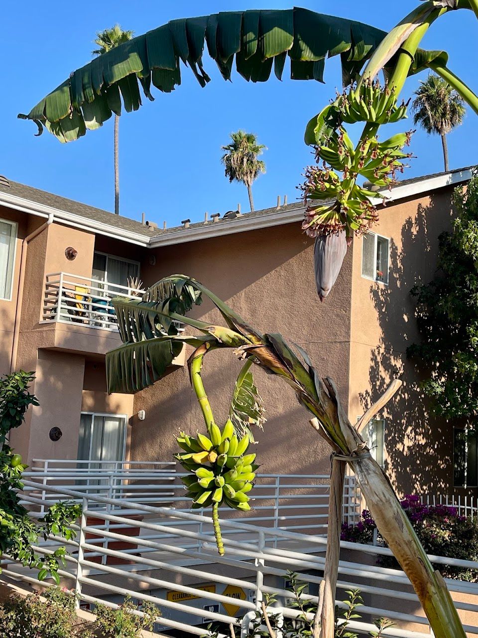 Photo of 7524 S Hoover St at 7524 S Hoover St Los Angeles, CA 90044