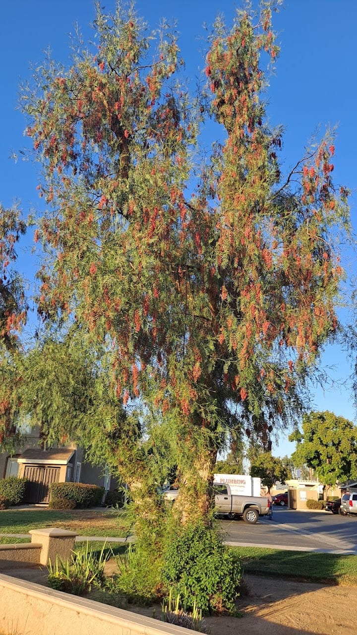 Photo of SUMMERHILL FAMILY APARTMENTS at 6200 VICTOR STREET BAKERSFIELD, CA 93308