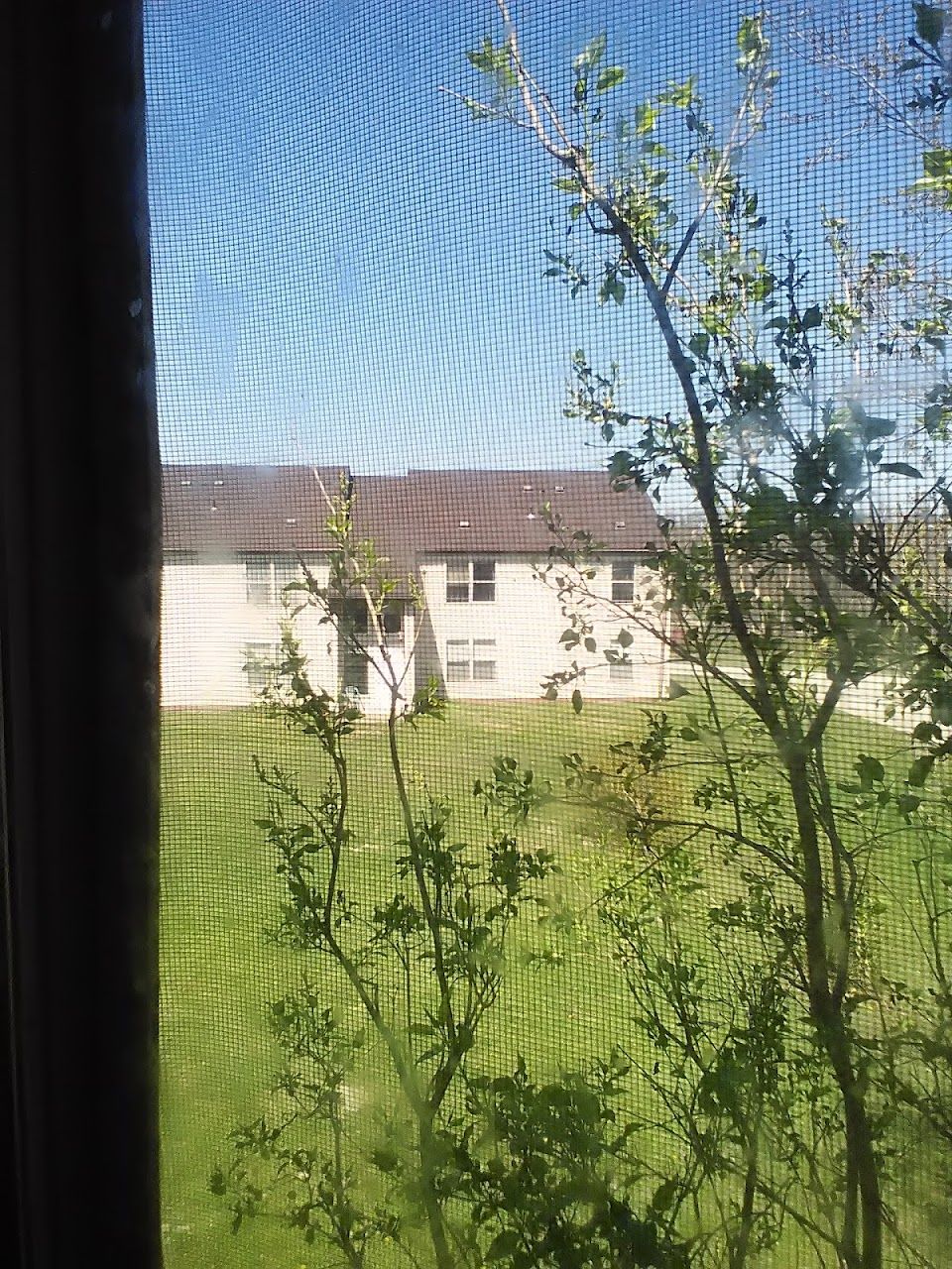Photo of Laurel Hills Apartments. Affordable housing located at 1204 Gurley Dr Scottdale, PA 15683
