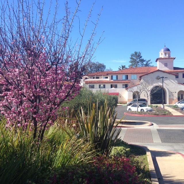 Photo of ST VINCENT'S GARDEN. Affordable housing located at 4200 CALLE REAL SANTA BARBARA, CA 93110