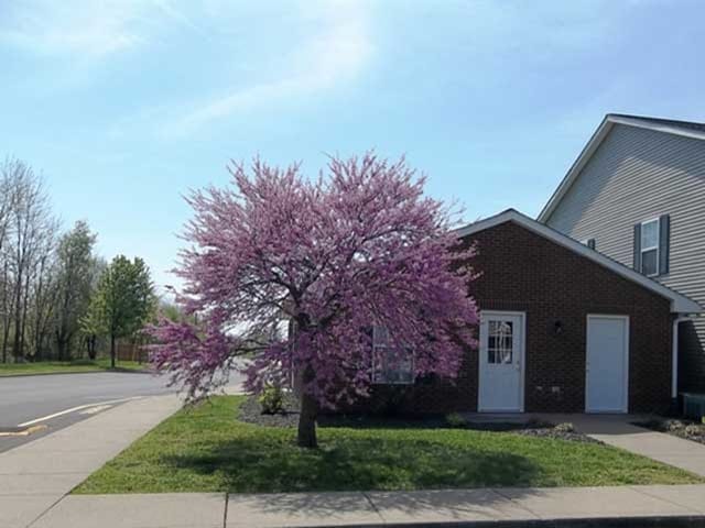 Photo of CAMBRIDGE POINTE APARTMENTS. Affordable housing located at ZION RD. HENDERSON, KY 42420