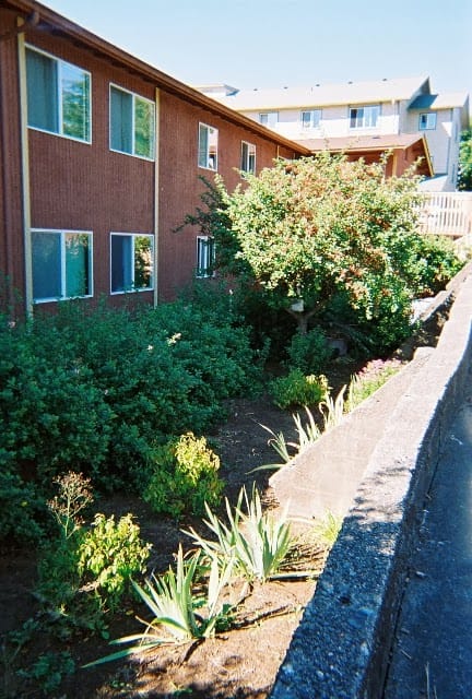 Photo of MONTESANO HARBOR APTS. at 114 E MARCY AVE MONTESANO, WA 98563