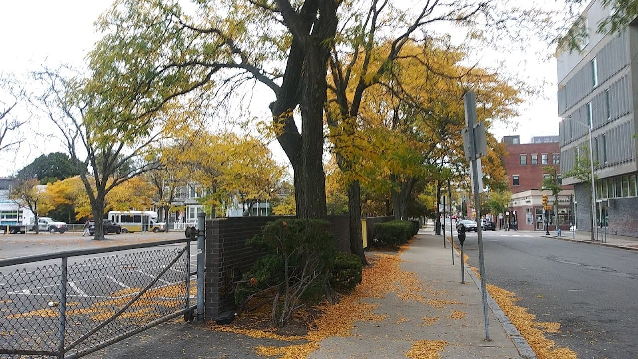 Photo of TEMPLE PLACE at 7 TEMPLE STREET CAMBRIDGE, MA 02139