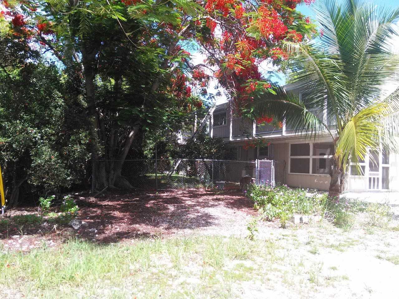 Photo of ATLANTIC PINES (BIG PINE KEY). Affordable housing located at 400 CNTY RD BIG PINE KEY, FL 33043