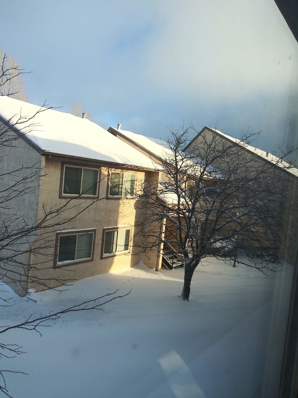 Photo of Pinecrest Apartments at 801 E Rodeo Rd Williams, AZ 86046