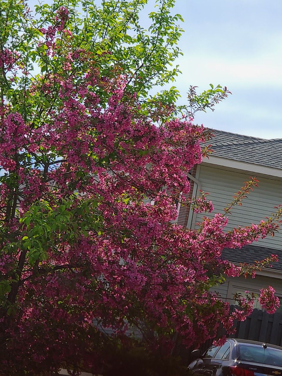 Photo of SOUTHSIDE APTS II. Affordable housing located at 1845 S FIRST ST WEST BRANCH, MI 48661