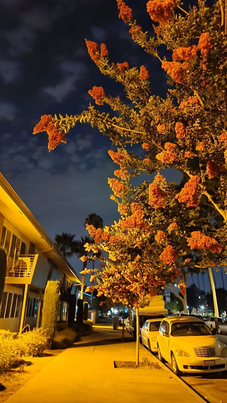 Photo of BELWOOD ARMS APTS. Affordable housing located at 6301 ATLANTIC AVE LONG BEACH, CA 90805