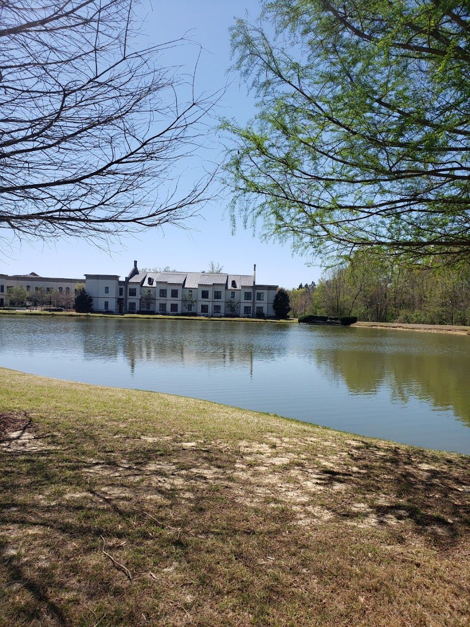 Photo of RIDGEWAY APTS at 1142 RAYMOND RD JACKSON, MS 39204