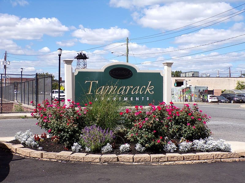 Photo of Tamarack Station Apartments at 1801 E Davis St Camden, NJ 08104