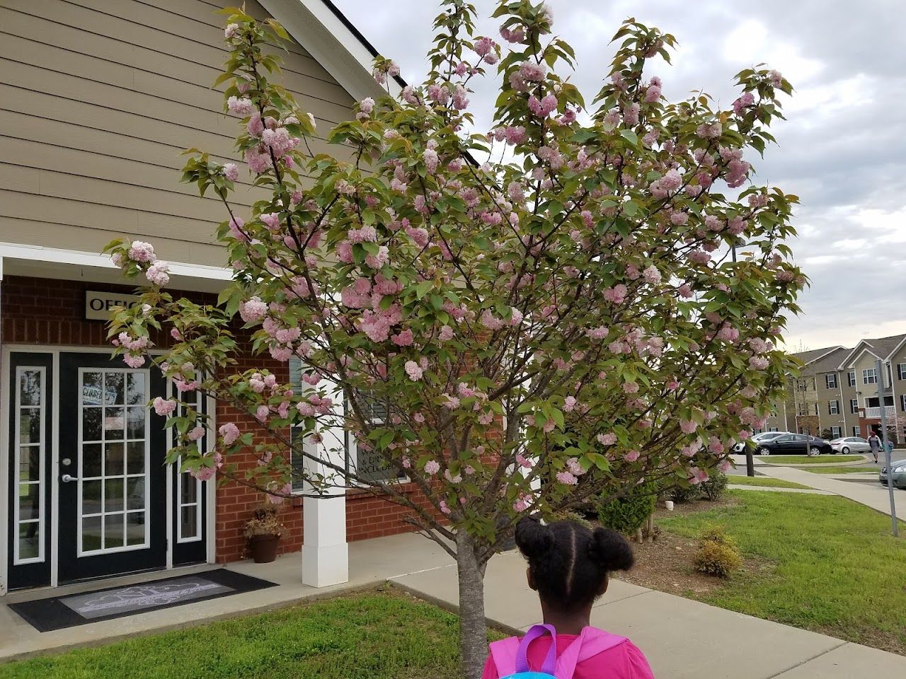 Photo of Needmore Place. Affordable housing located at 290 Needmore Rd Clarksville, TN 37040