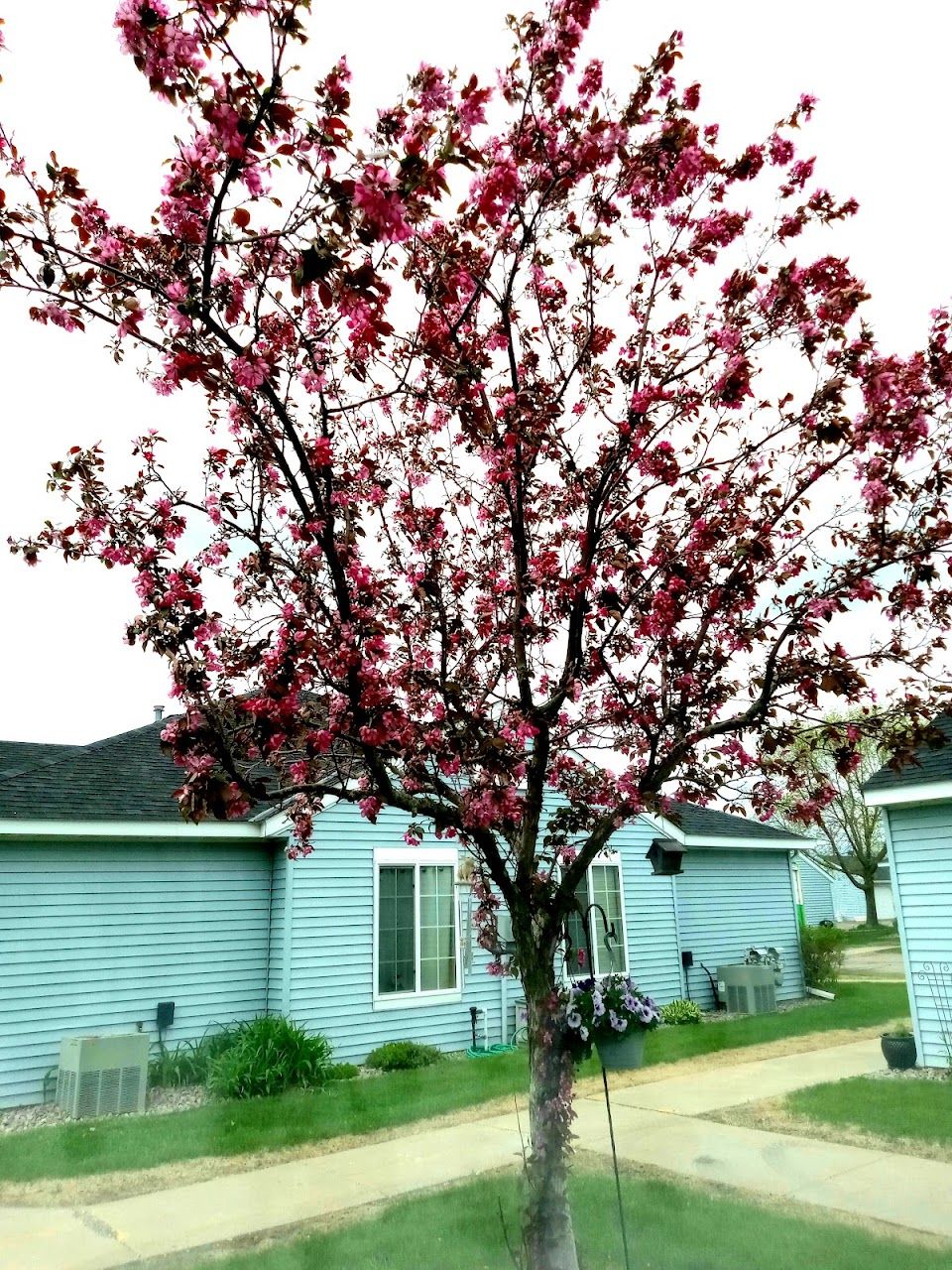 Photo of PARK VILLAS. Affordable housing located at MULTIPLE BUILDING ADDRESSES WAITE PARK, MN 55313