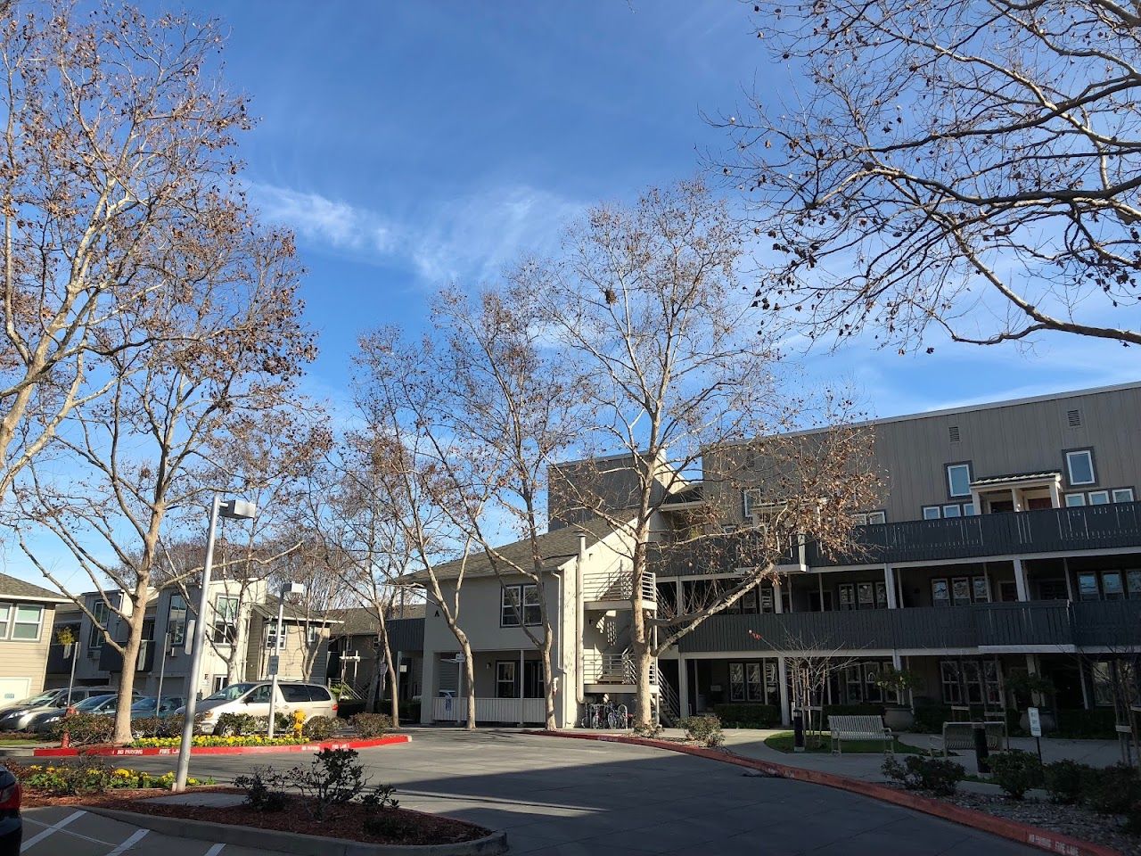 Photo of KLEIN SCHOOL SITE SENIOR HOUSING at 375 OAKTREE DR MOUNTAIN VIEW, CA 94040