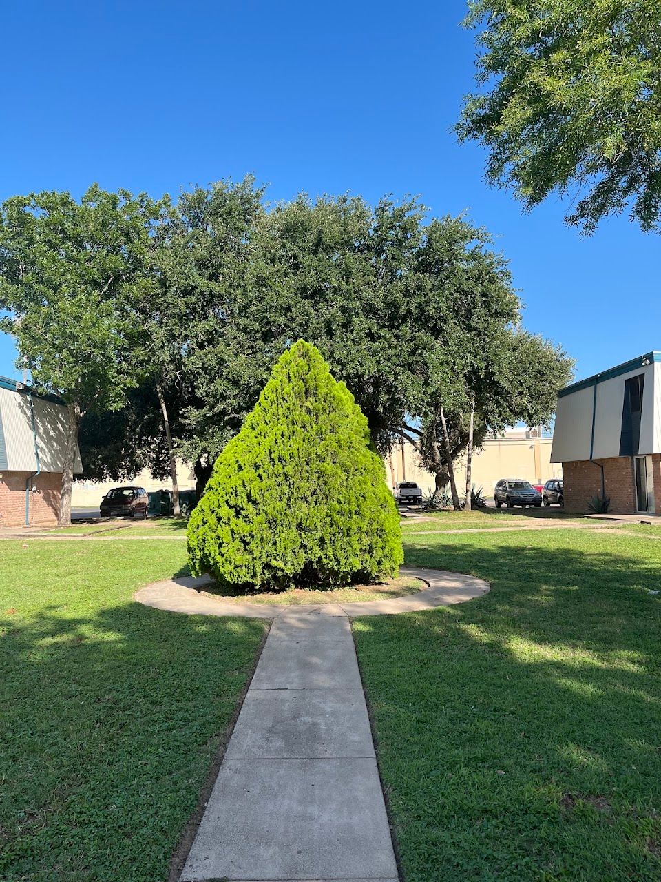 Photo of JACKSON APARTMENTS at W SIDE 3700 BLK N JACKSON RD MCALLEN, TX 78504