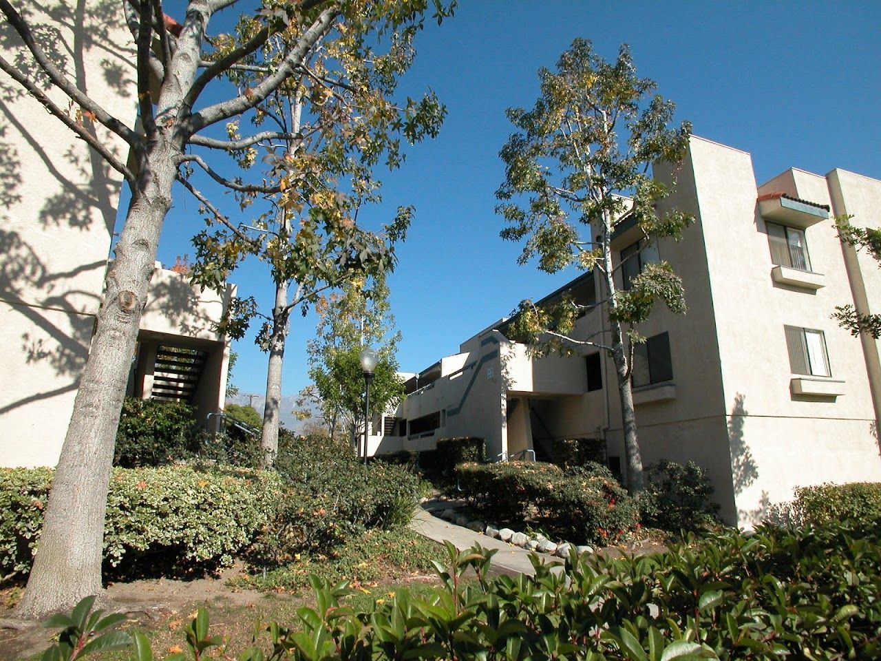 Photo of EAST RANCHO VERDE VILLAGE. Affordable housing located at 8837 GROVE AVE RANCHO CUCAMONGA, CA 91730