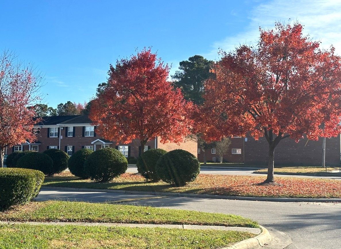 Photo of TYLER RUN II. Affordable housing located at 201 TYLER LANE EDENTON, NC 27932