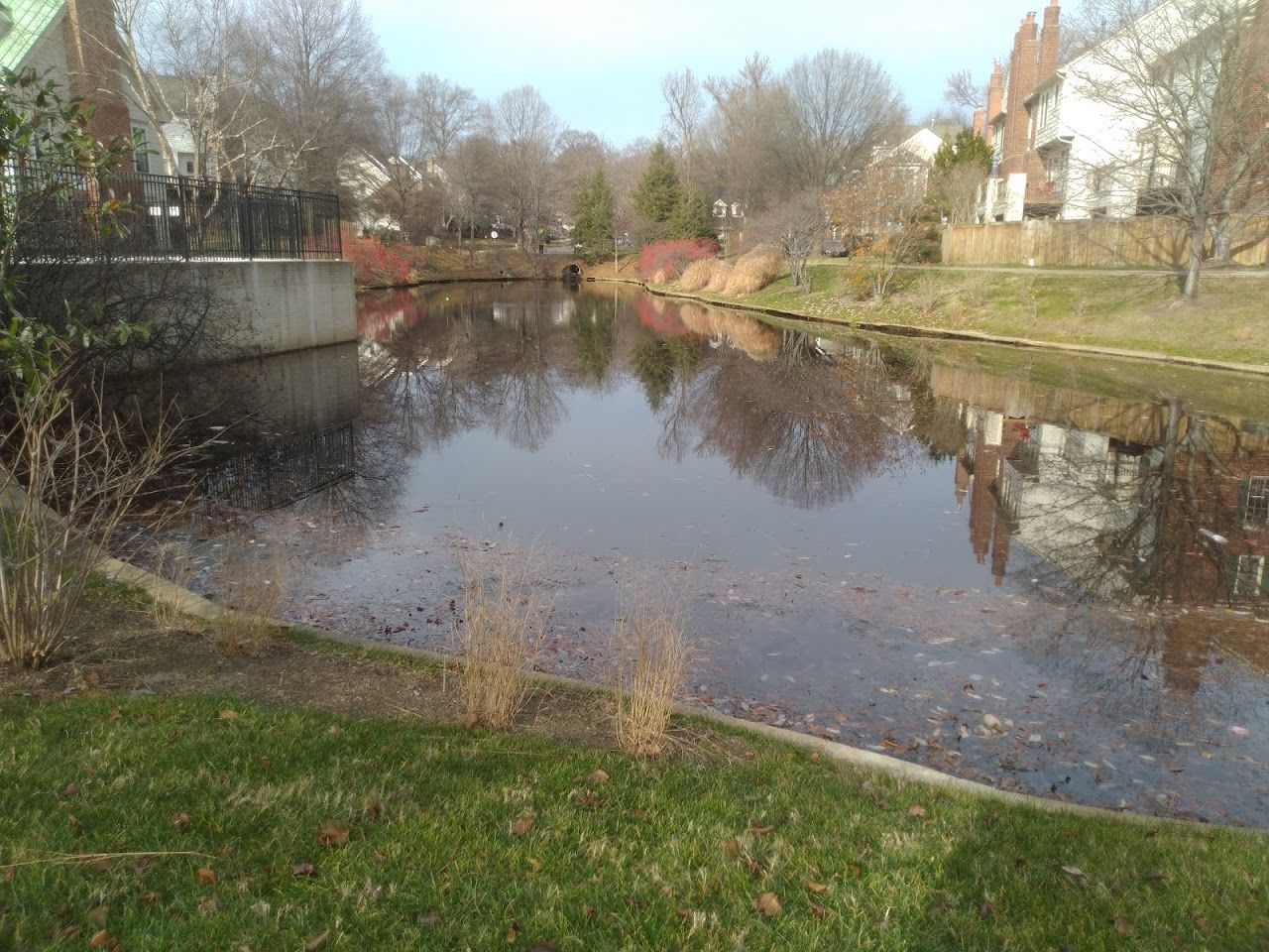 Photo of CAMERON VALLEY. Affordable housing located at 1100 QUAKER HILL DR ALEXANDRIA, VA 22314