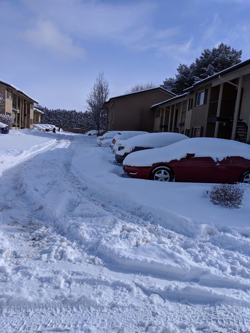 Photo of ALE HOUSING, LP - RD PORTFOLIO. Affordable housing located at MULTIPLE CITIES + COUNTIES MULTIPLE CITIES, WA 98264