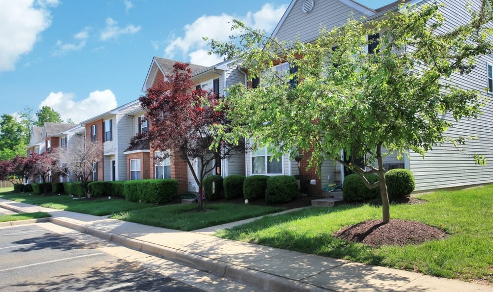 Photo of SKY TERRACE. Affordable housing located at 412 FRASIER DR STAFFORD, VA 22556