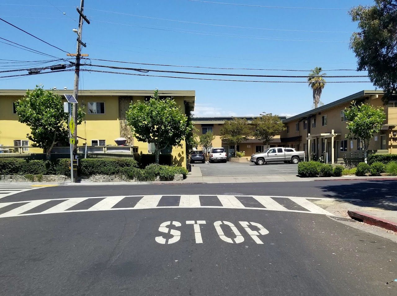 Photo of BELVEDERE PLACE APTS. Affordable housing located at 162 BELVEDERE ST SAN RAFAEL, CA 94901